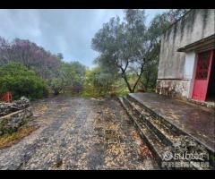 CEGLIE MESSAPICA - Trullo con lamia - 19