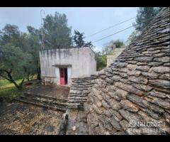 CEGLIE MESSAPICA - Trullo con lamia - 20