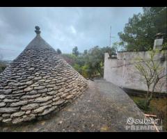 CEGLIE MESSAPICA - Trullo con lamia - 24