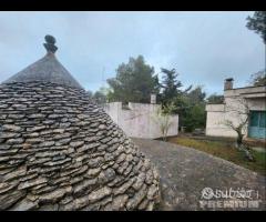 CEGLIE MESSAPICA - Trullo con lamia - 25