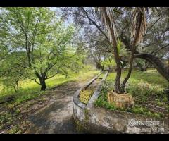 CEGLIE MESSAPICA - Trullo con lamia - 27