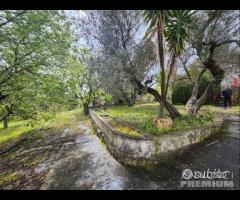 CEGLIE MESSAPICA - Trullo con lamia - 28