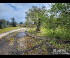 CEGLIE MESSAPICA - Trullo con lamia - 30