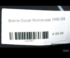 Bobine Ducati Multistrada 1000 DS - 6