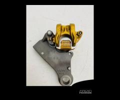 Pinza freno posteriore oro honda cb 600 f hornet