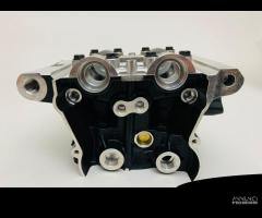 TESTA DUCATI MONSTER 821 '15-21 VERTICALE 30123721