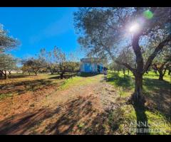 Terreno con vano in località S. Barbato - 6