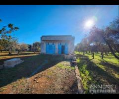 Terreno con vano in località S. Barbato - 7