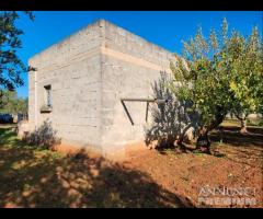 Terreno con vano in località S. Barbato - 18