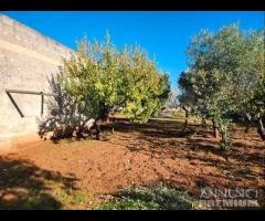 Terreno con vano in località S. Barbato - 19