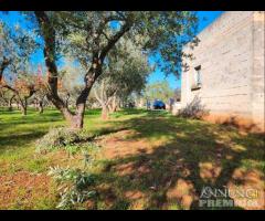 Terreno con vano in località S. Barbato - 21