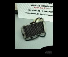 Radiatore Piaggio Beverly 200 - 6