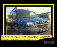 ricambi FIAT DOBLO 1SERIE RESTY 2004-2010 - 2