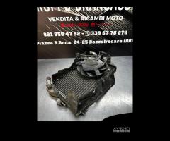 Radiatore completo Suzuki Burgman 650 executive