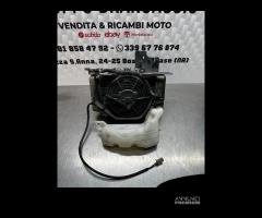 Radiatore Honda Sh 125/150 - 3