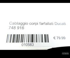 Cablaggio corpi farfallato ducati 748 916 - 5