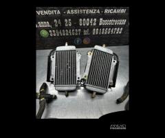 Radiatori completi Piaggio vespa Gts 250