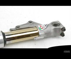 Forcelle showa TIN regolabili assiali Ducati 749 - 7