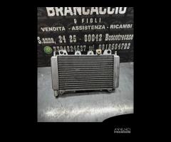 Radiatore completo Piaggio Beverly 200