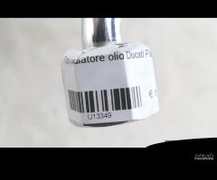 Tubi radiatore olio Ducati Paso - 4