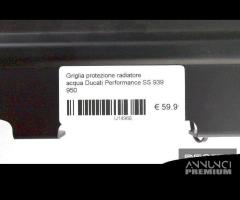 Protezione radiatore acqua Ducati SS 939 950