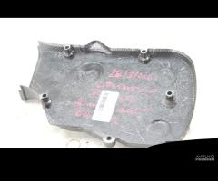 Cover cinghia verticale carbonio Ducati Monster