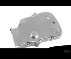 Cover cinghia verticale carbonio Ducati Monster