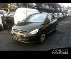 Peugeot 307 anno 2004