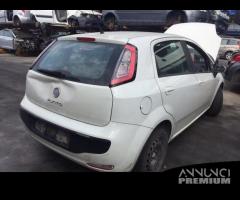 Punto evo 2012