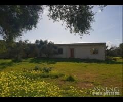 Castelvetrano villa indipendente con terreno di 7