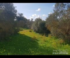 Castelvetrano villa indipendente con terreno di 7