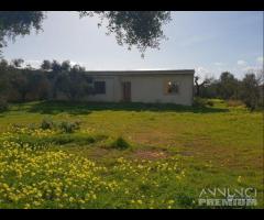 Castelvetrano villa indipendente con terreno di 7 - 6