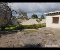 Castelvetrano villa indipendente con terreno di 7 - 7