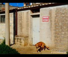 Castelvetrano terreno agricolo con magazzino rura - 14