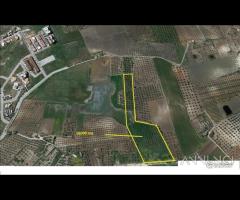 CASTELVETRANO TERRENO ( E1) 15000 mq