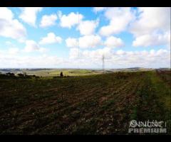 Castelvetrano Azienda Agricola di 7,5 ettari c.c - 12