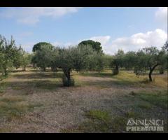 Castelvetrano terreno 10000 mq circa con magazzino