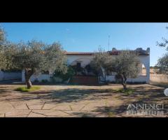 Selinunte villa bifamiliare con vista templi