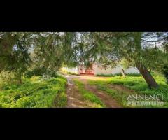 Casa ind. con giardino a 5 minuti dal centro