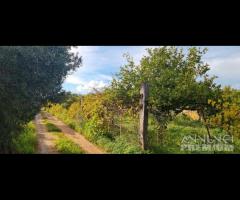 Casa ind. con giardino a 5 minuti dal centro - 8