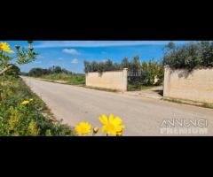 Castelvetrano villetta con 4700 mq di giardino