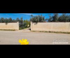 Castelvetrano villetta con 4700 mq di giardino