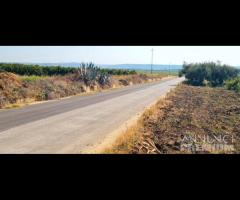 Azienda agricola con uliveto e vigneto di 10 etta