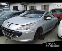 Peugeot 307 Cabrio Ricambi usati - 1