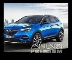 Ricambi OPEL GRANDLAND X 2020/22