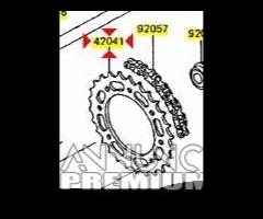 -Corona Kawasaki 43 denti KLR 600 420411185