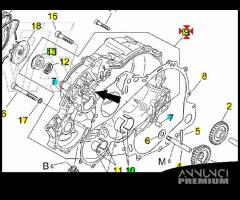 -Coperchio Frizione Aprilia Capo Nord AP0610151 - 1