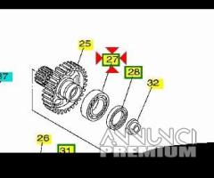 -cuscinetto ingranaggio trasmissione T Max 500 - 1