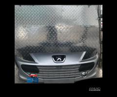 PARAURTI ANTERIORE PEUGEOT 307 (05-09)