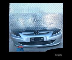 PARAURTI ANTERIORE  PEUGEOT 307 (01-05)